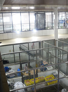 環境展示